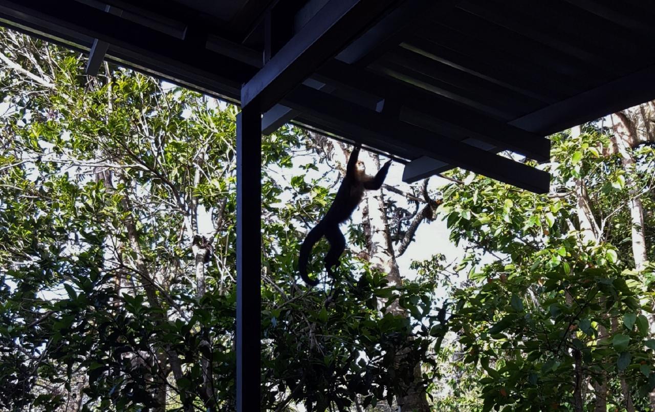 Above The Gulf, Vacation House Monteverde Esterno foto